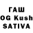 Псилоцибиновые грибы GOLDEN TEACHER Samati Majhi