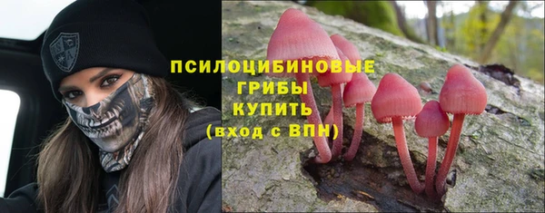 экстази Бородино